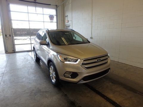 White Gold Ford Escape SEL.  Click to enlarge.