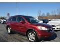 2010 CR-V EX-L AWD #1