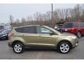 2013 Escape SE 1.6L EcoBoost #2