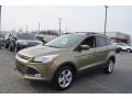 2013 Escape SE 1.6L EcoBoost #6