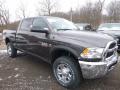 2018 2500 Tradesman Crew Cab 4x4 #6