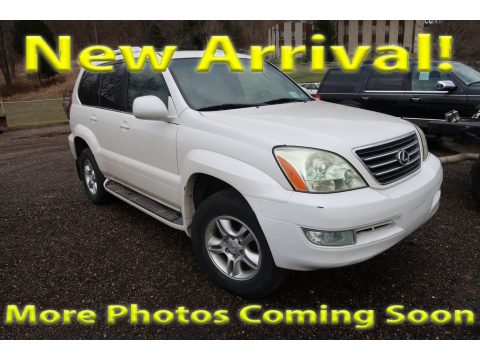 Blizzard White Pearl Lexus GX 470.  Click to enlarge.