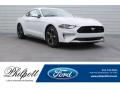 2018 Mustang EcoBoost Fastback #1