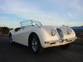 1952 XK120 Roadster #6