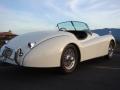 1952 XK120 Roadster #15