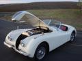 1952 XK120 Roadster #19