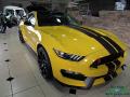 2017 Mustang Shelby GT350R #8