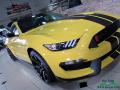 2017 Mustang Shelby GT350R #31