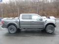  2018 Ford F150 Magnetic #1