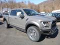Front 3/4 View of 2018 Ford F150 SVT Raptor SuperCrew 4x4 #3