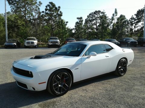 White Knuckle Dodge Challenger R/T Plus.  Click to enlarge.