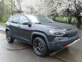 Front 3/4 View of 2019 Jeep Cherokee Trailhawk 4x4 #4