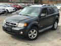 2008 Escape XLT V6 4WD #1