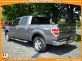 2009 F150 XLT SuperCrew 4x4 #5