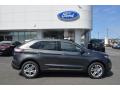  2018 Ford Edge Magnetic #2