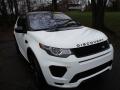 2018 Discovery Sport HSE #14