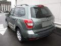 2015 Forester 2.5i #3 2015 Forester 2.5i #3