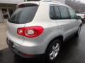 2010 Tiguan Wolfsburg Edition 4Motion #2