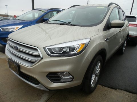 White Gold Ford Escape SEL 4WD.  Click to enlarge.