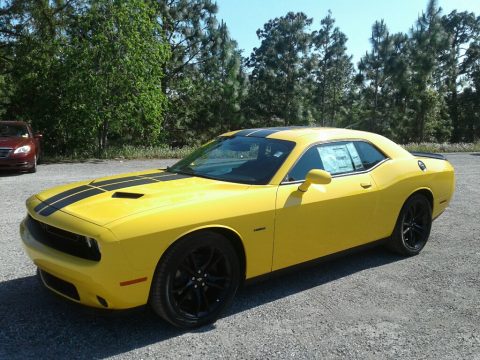 Yellow Jacket Dodge Challenger R/T.  Click to enlarge.
