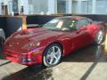 2009 Corvette Coupe #2