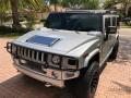 2009 H2 SUV Silver Ice #10