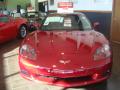 2009 Corvette Coupe #7
