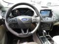  2018 Ford Escape Titanium Steering Wheel #9