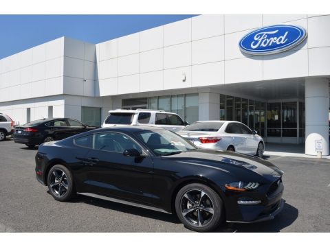 Shadow Black Ford Mustang EcoBoost Fastback.  Click to enlarge.