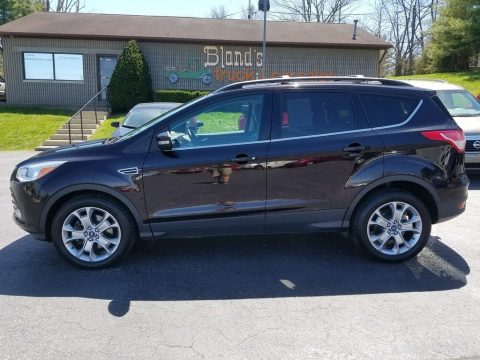 Kodiak Brown Metallic Ford Escape SEL 2.0L EcoBoost 4WD.  Click to enlarge.