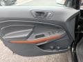 Door Panel of 2018 Ford EcoSport SES 4WD #13