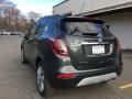 2018 Encore Preferred #4