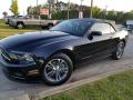 2013 Mustang V6 Premium Convertible #2