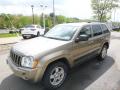 2006 Grand Cherokee Laredo 4x4 #5