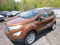 2018 EcoSport SE 4WD #5 2018 EcoSport SE 4WD #5
