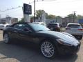 2010 GranTurismo Convertible GranCabrio #9 2010 GranTurismo Convertible GranCabrio #9