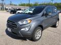 2018 EcoSport SE 4WD #1 2018 EcoSport SE 4WD #1