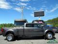 2018 F450 Super Duty Platinum Crew Cab 4x4 #6