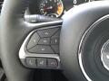 Controls of 2018 Jeep Renegade Limited 4x4 #16