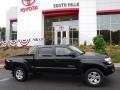 2007 Tacoma V6 TRD Sport Double Cab 4x4 #2 2007 Tacoma V6 TRD Sport Double Cab 4x4 #2