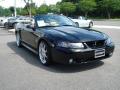1999 Mustang SVT Cobra Convertible #6