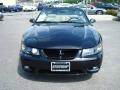 1999 Mustang SVT Cobra Convertible #7