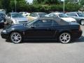 1999 Mustang SVT Cobra Convertible #21