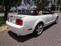 2007 Mustang V6 Premium Convertible #13