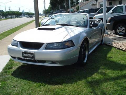 Silver Metallic Ford Mustang GT Convertible.  Click to enlarge.