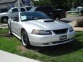 2001 Mustang GT Convertible #5