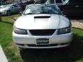 2001 Mustang GT Convertible #6