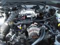 2001 Mustang GT Convertible #16
