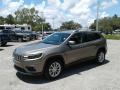 2019 Cherokee Latitude #1