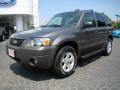 2006 Escape XLT V6 4WD #6